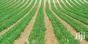 2 Acres Settlement and Agricultural/Farming Land