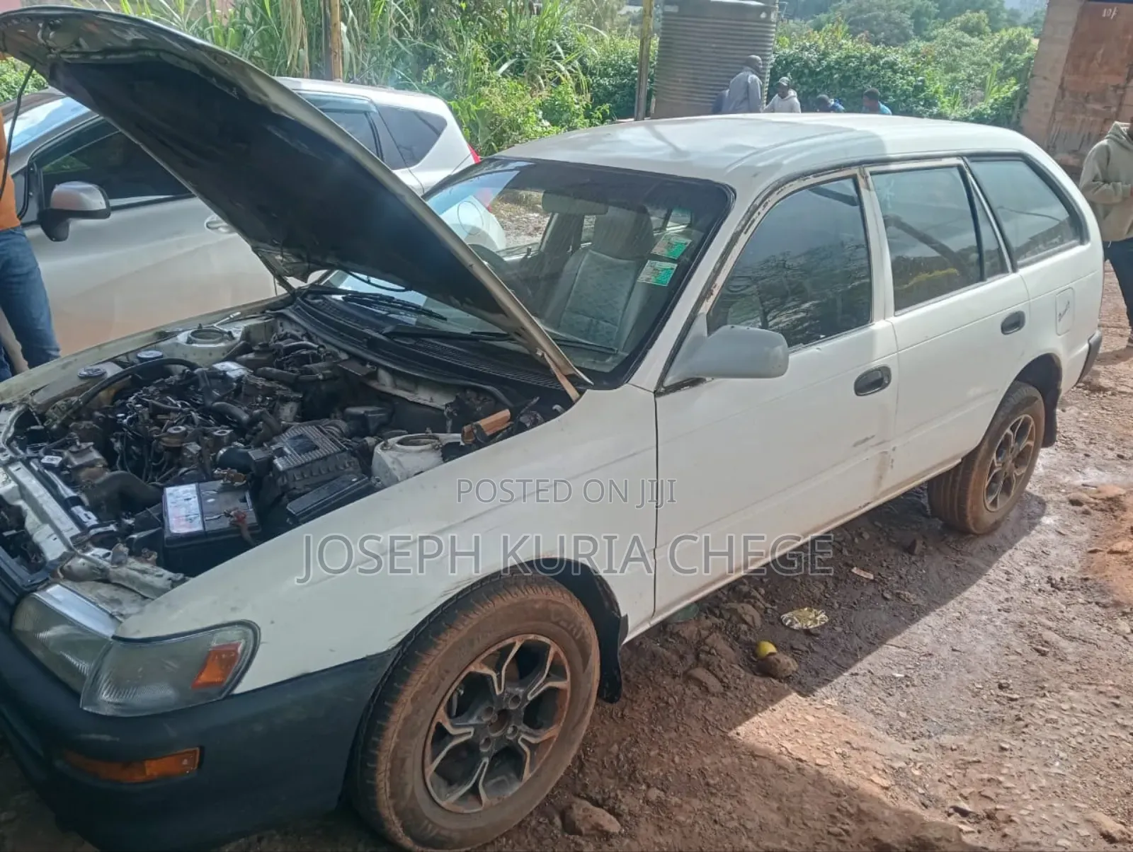 Toyota Corolla 2000 White