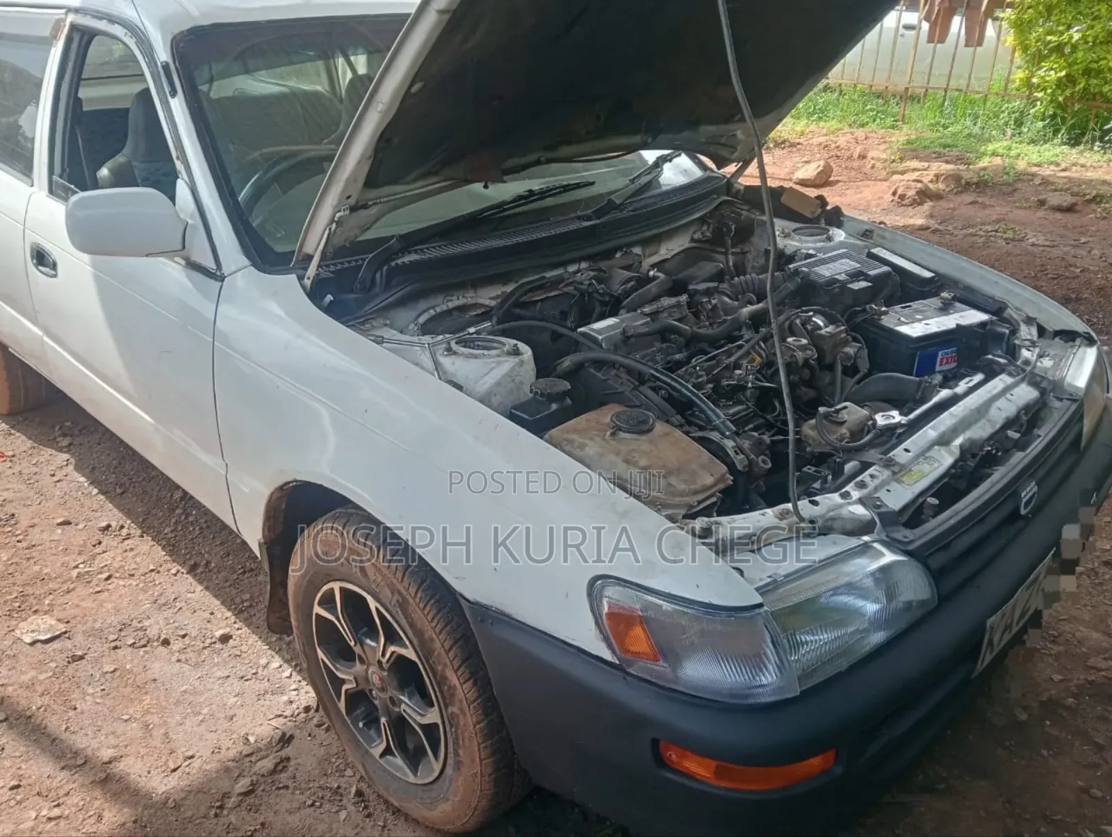 Toyota Corolla 2000 White