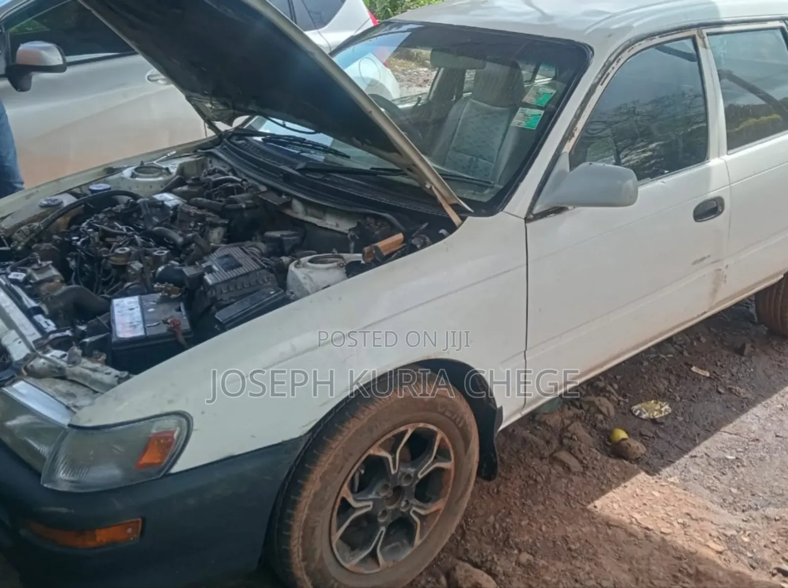Toyota Corolla 2000 White