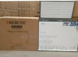 Rebune 250 Litres Deep Freezer