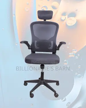 Premium Ergonomic Office | Chair | Best Deal Online