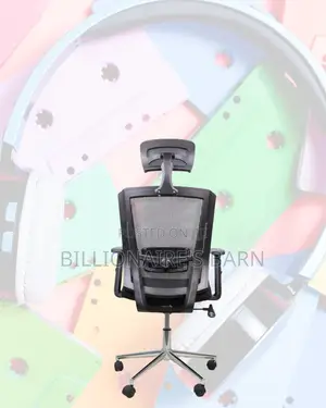 Ergonomic Mesh Chair With Headrest | Modern Chrome Finish