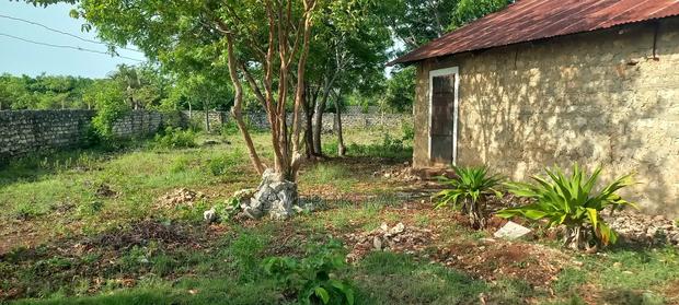 1⁄2 Acre Plot With House | Chale, Kinondo – Kwale County - thumbnail 13
