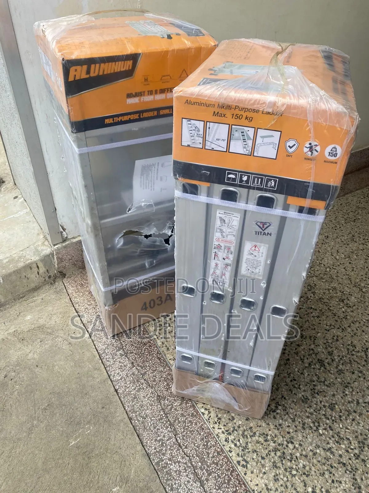 Multi-Purpose Ladder