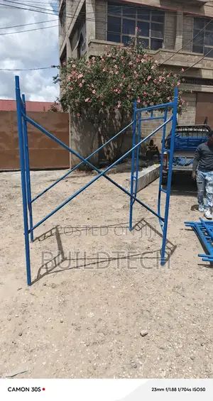 Mobile Scaffolding Access Ladder