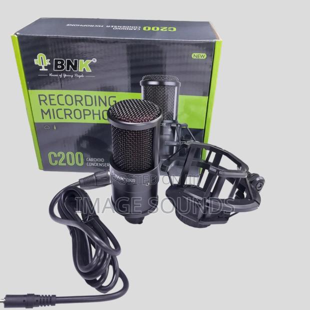 Microphone C200 Podcast/Studio - main view