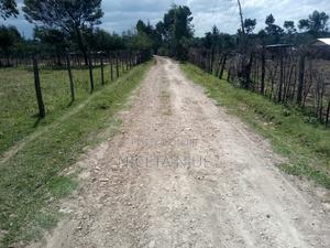 Land for Sale - thumbnail 2