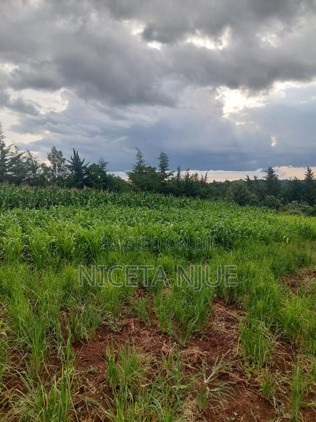 Land for Sale - thumbnail 3