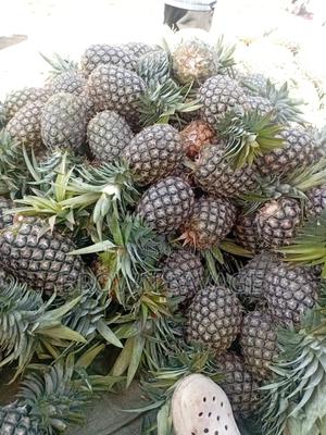 Pinepal(Pineapple Dealer - thumbnail 2