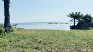 Msambweni One Acre Prime Beach Front Land on Sale! At