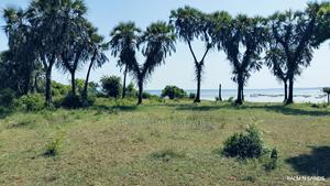 Msambweni One Acre Prime Beach Front Land on Sale! At - thumbnail 2