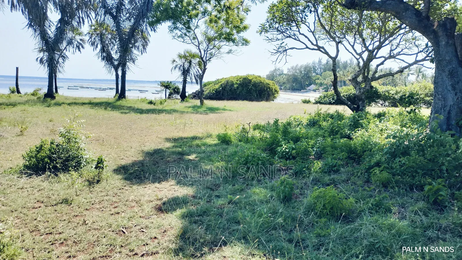 Msambweni One Acre Prime Beach Front Land on Sale! At