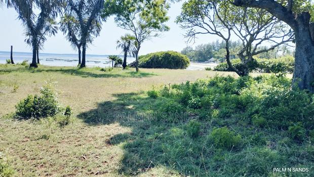 Msambweni One Acre Prime Beach Front Land on Sale! At - thumbnail 7