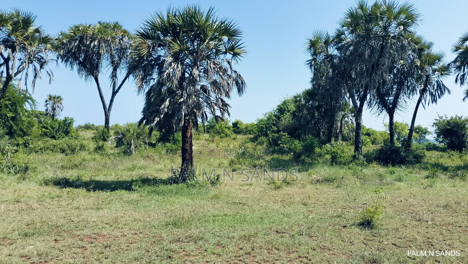 Msambweni One Acre Prime Beach Front Land on Sale! At
