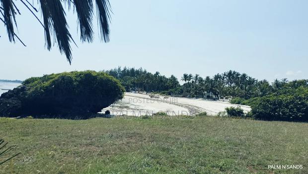 Msambweni One Acre Prime Beach Front Land on Sale! At - thumbnail 9