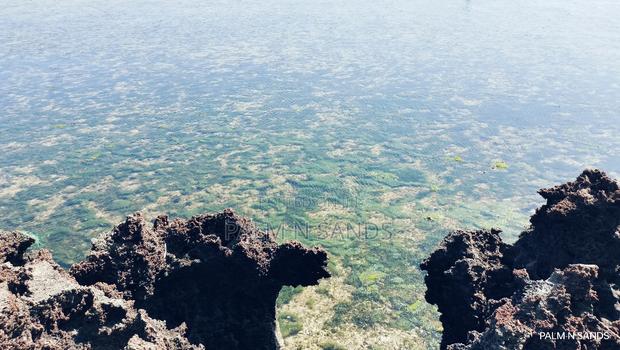 Msambweni One Acre Prime Beach Front Land on Sale! At - thumbnail 10