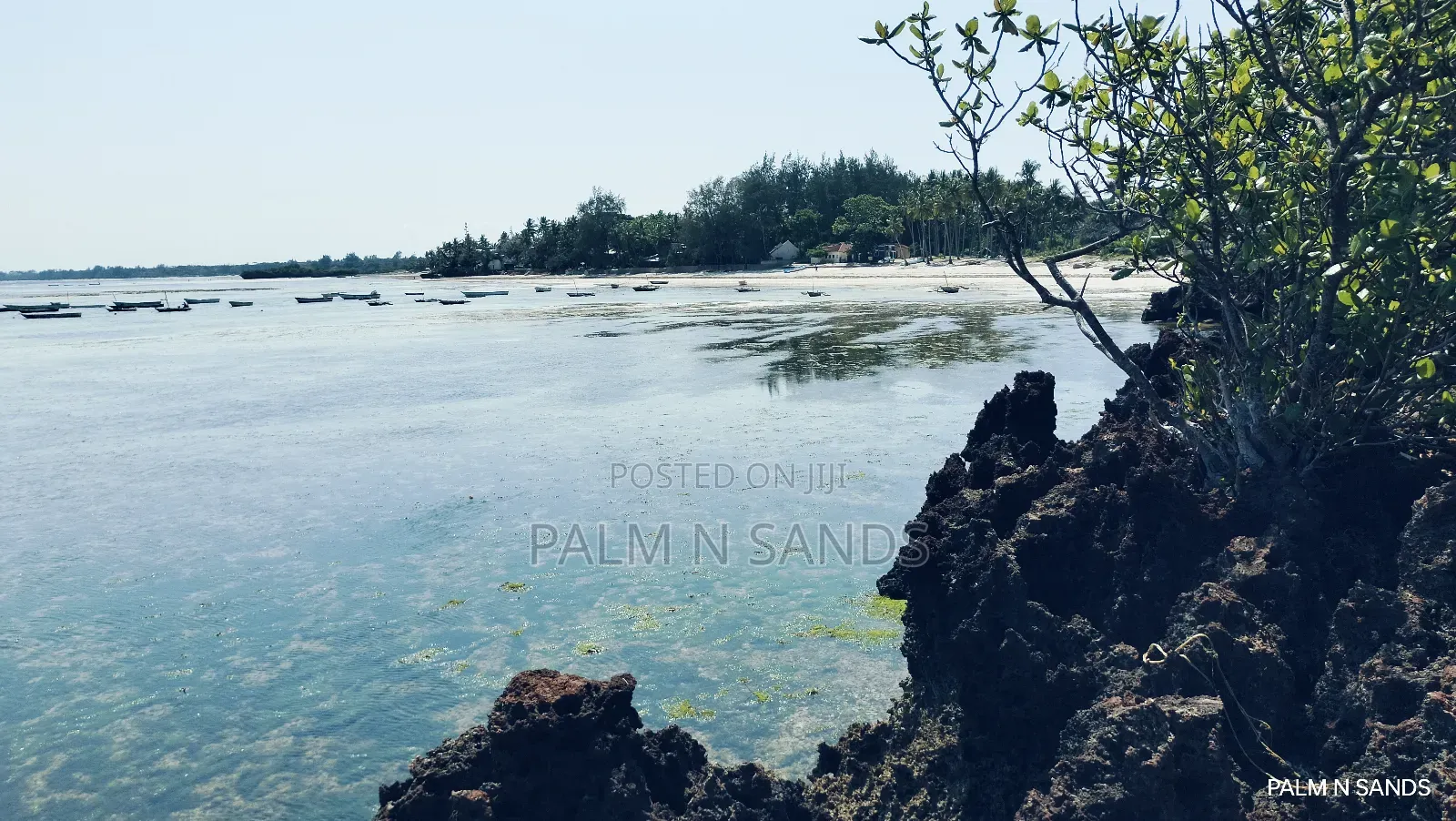 Msambweni One Acre Prime Beach Front Land on Sale! At