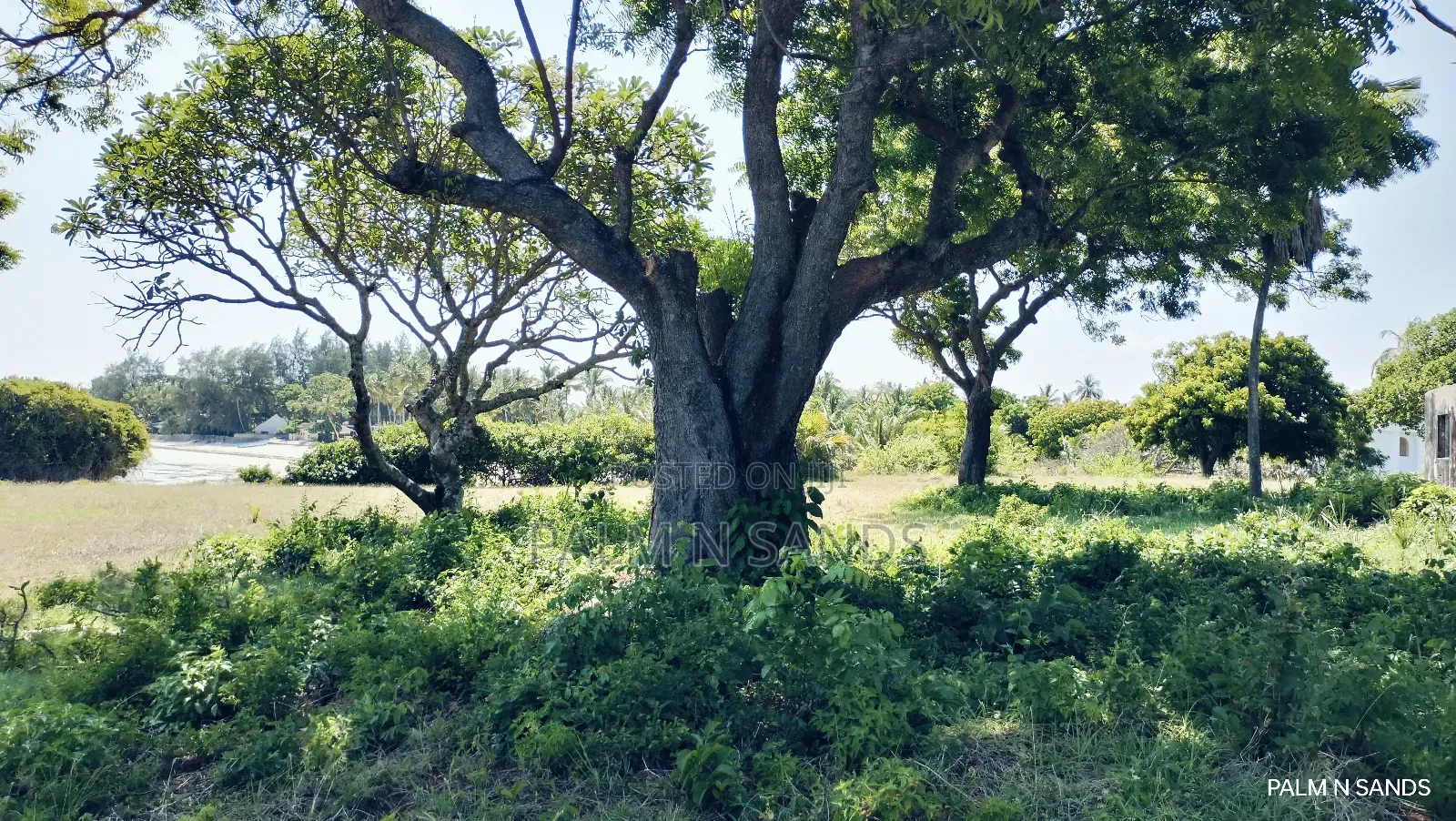 Msambweni One Acre Prime Beach Front Land on Sale! At