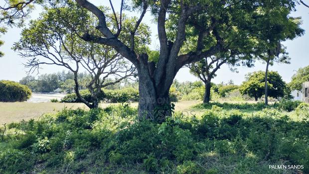 Msambweni One Acre Prime Beach Front Land on Sale! At - thumbnail 13