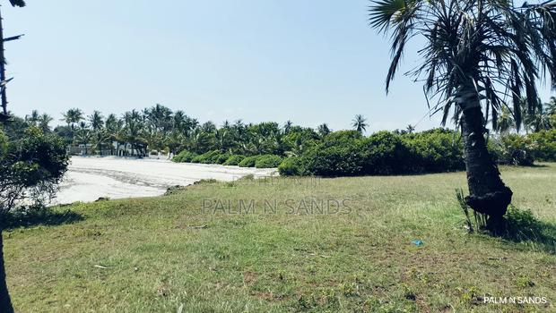 Msambweni One Acre Prime Beach Front Land on Sale! At - thumbnail 14