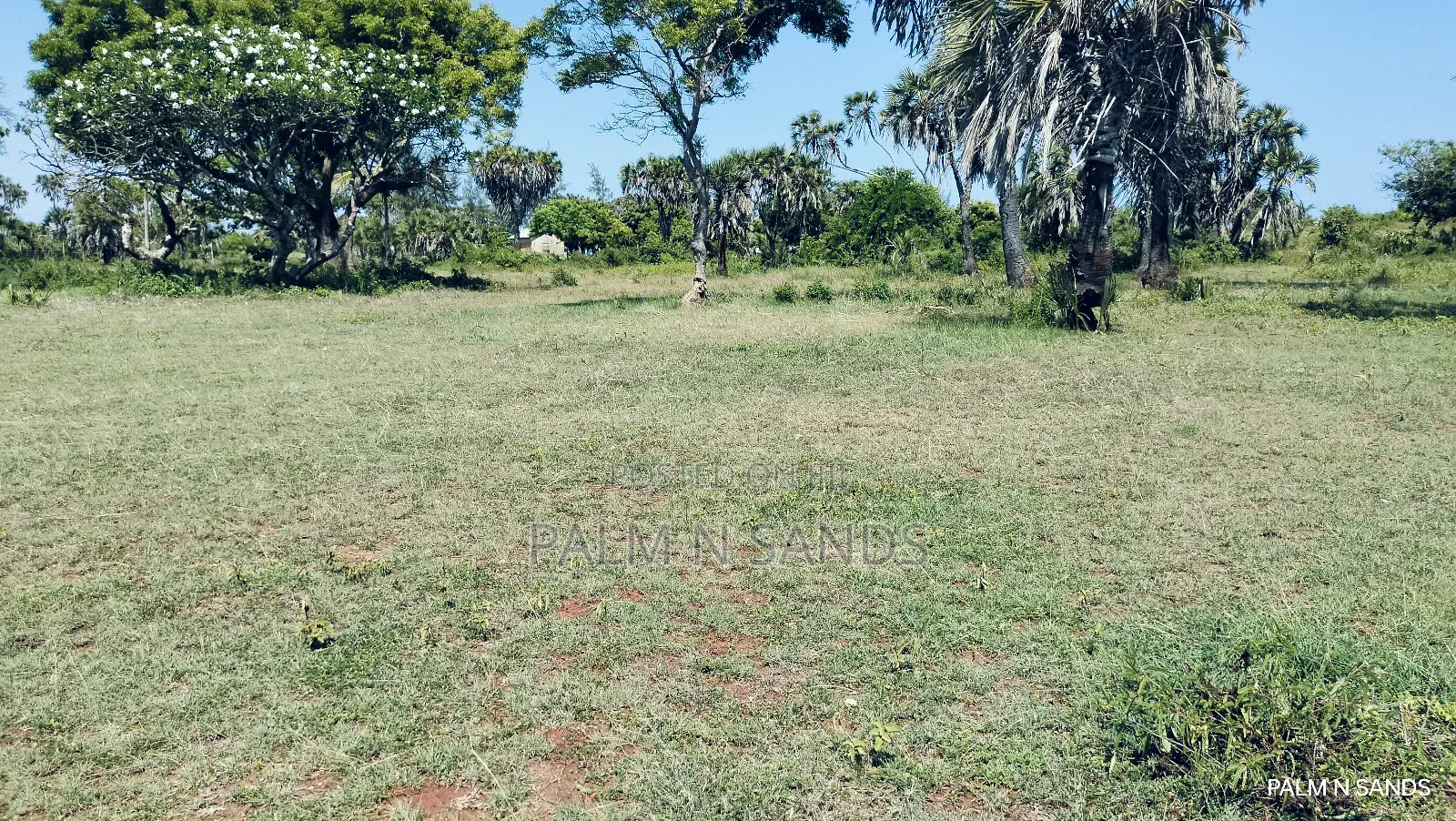 Msambweni One Acre Prime Beach Front Land on Sale! At