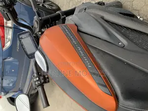 Harley-Davidson 2020 Orange