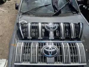 Toyota Prado 165 Grille