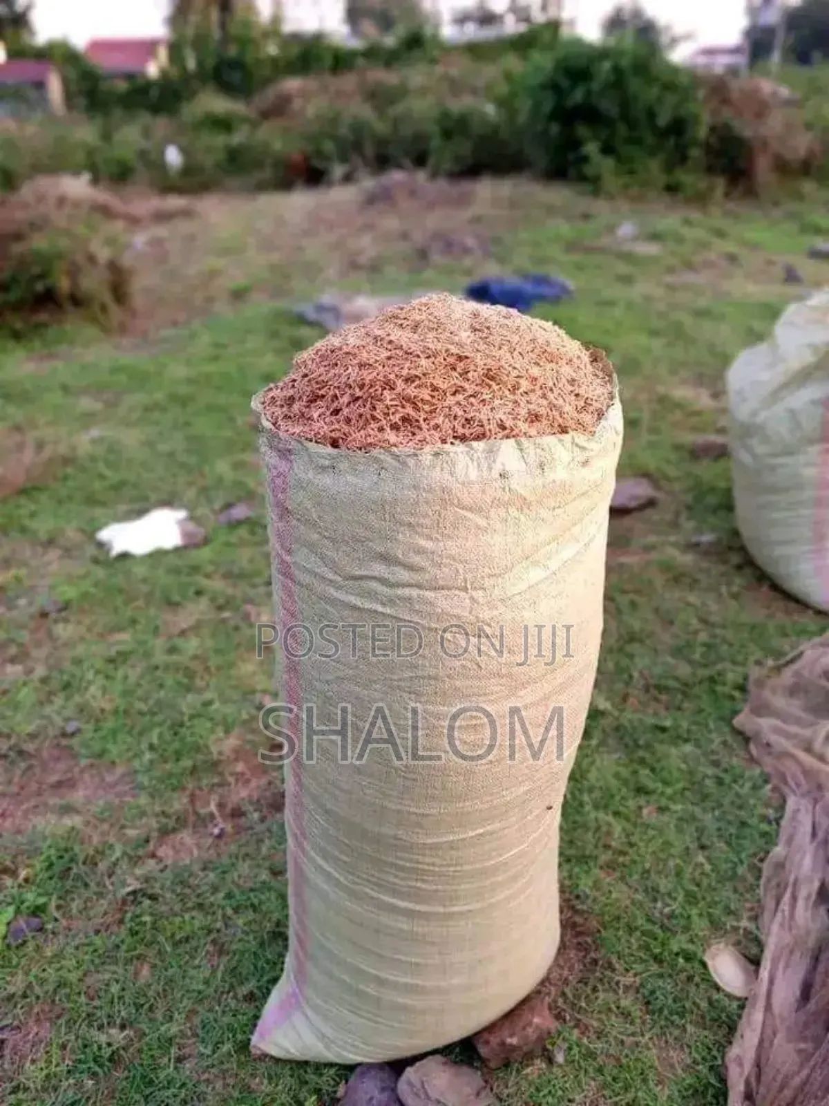 Ochonga/Fish Meal Omena