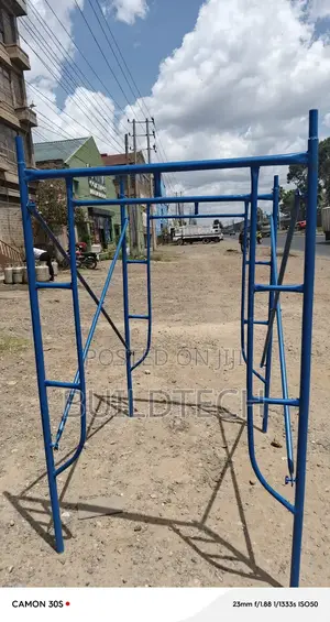 Heavy Load Barrier Scaffolding Ladders