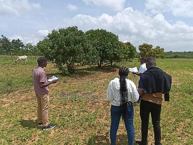 Matuu Plots - thumbnail 2