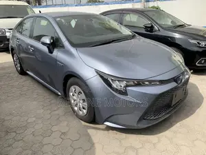 Toyota Corolla LE Eco (1.8L 4cyl 2A) 2019 Gray