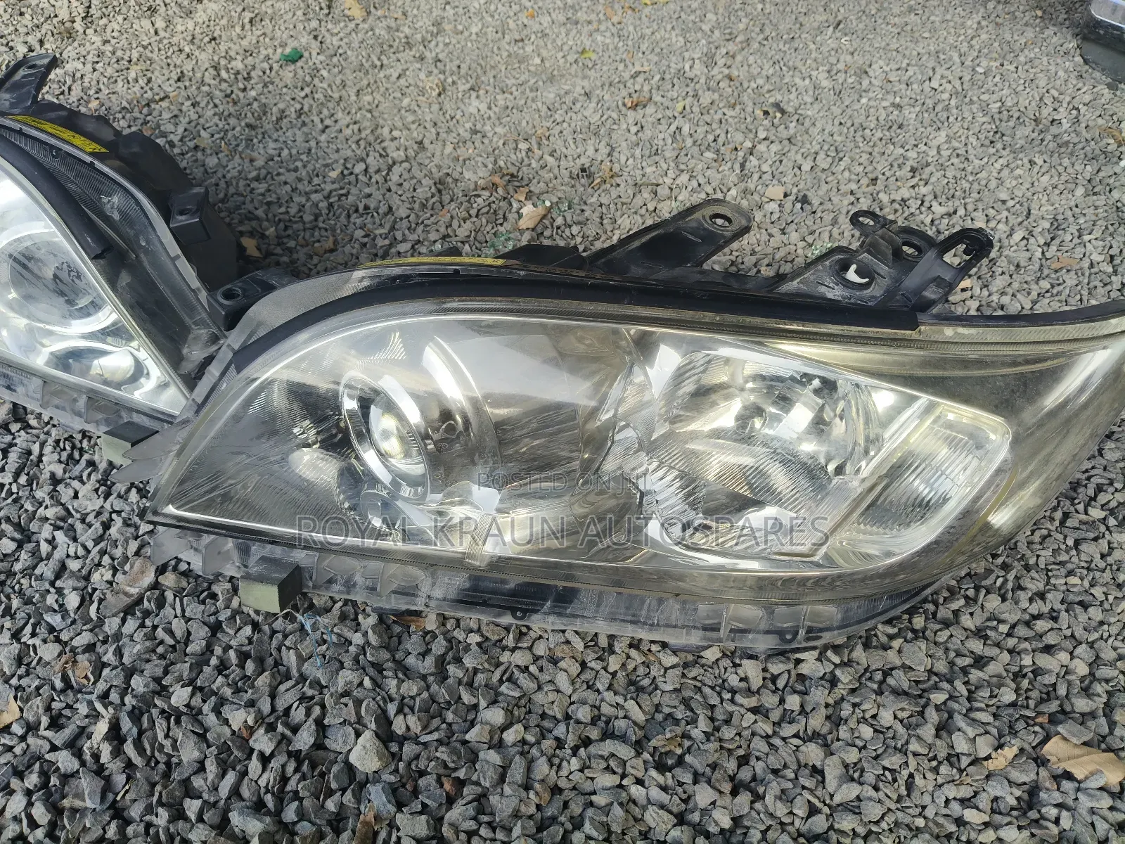 Vanguard Xenon Headlights