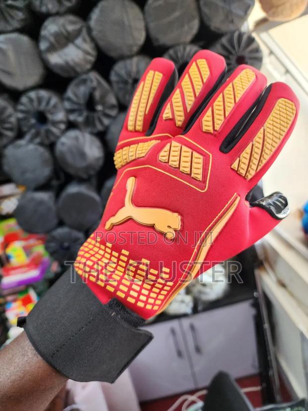 Professional Puma Goalkeeper Gloves