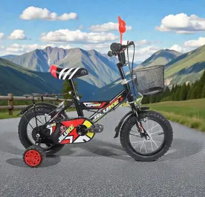Front Basket and Comfy Seat 12,14,16 Inch 2-11 Yrs Children Kids Ride