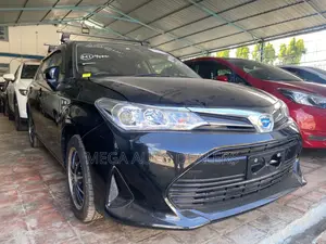Toyota Corolla Fielder 2018 Black
