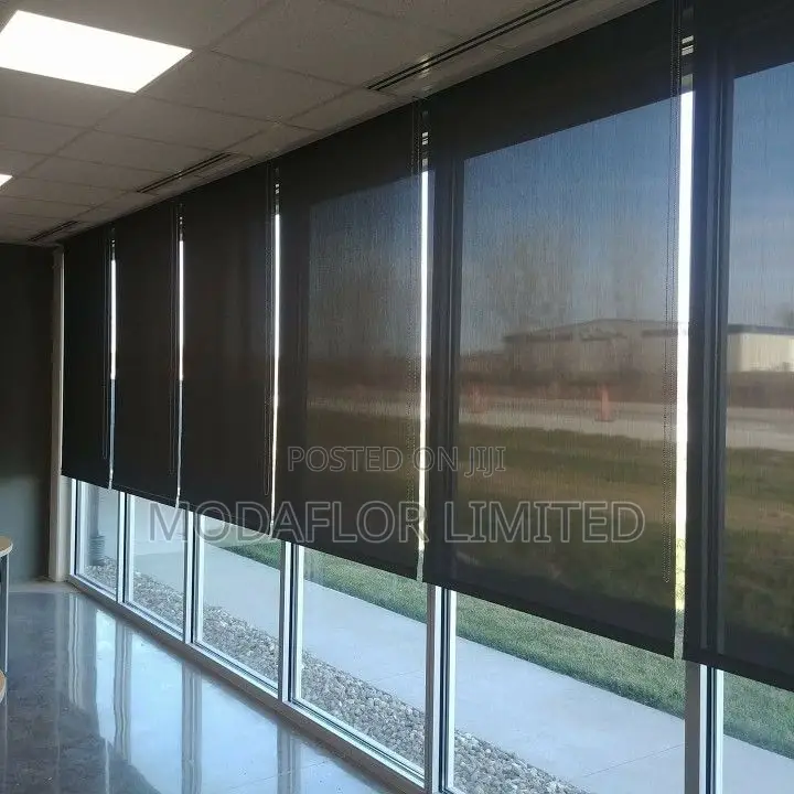 Modern Sunscreen Roller Blinds for Large Windows
