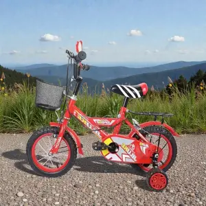 Fun Safe Cartoon Bike for Boys and Girls 16 Inch 3-7 Years Children
