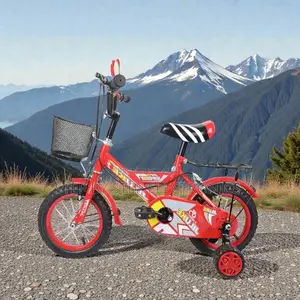 Fun Safe Cartoon Bike 16 Inch 3-7 Years Children Kids Birthday Gift