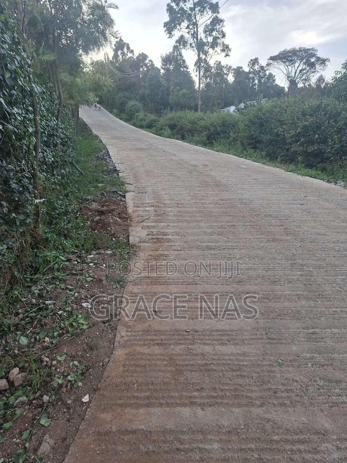Land for Sale Quarter Acre Kerarapon 1/4