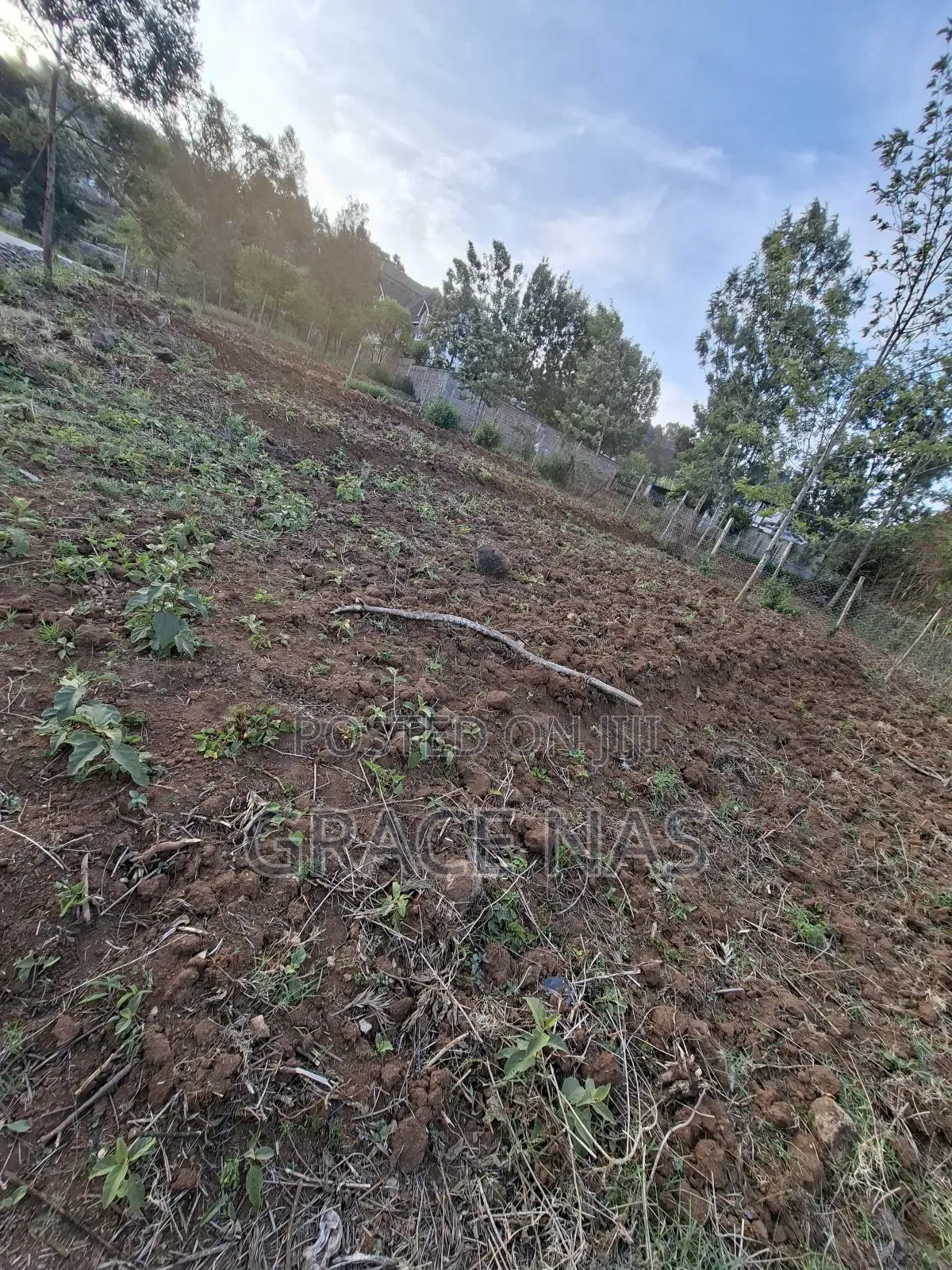 Land for Sale Quarter Acre Kerarapon 1/4