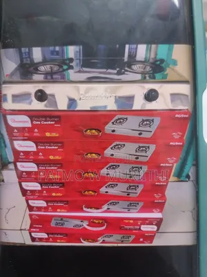 Ramton 2 Burner Stainless Gas Cooker Rg544