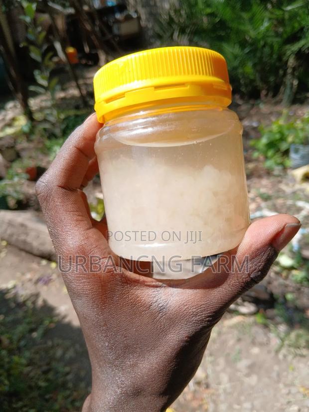 Water Kefir Grains - main view