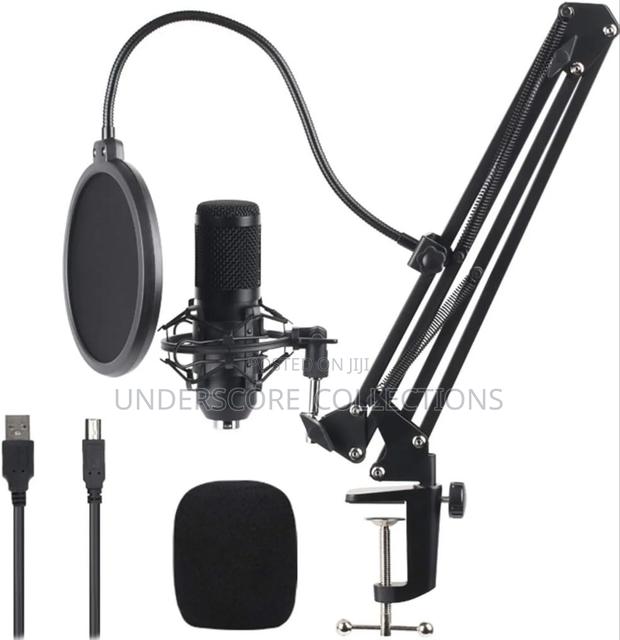 Bm 700 Professional Microphone - main view