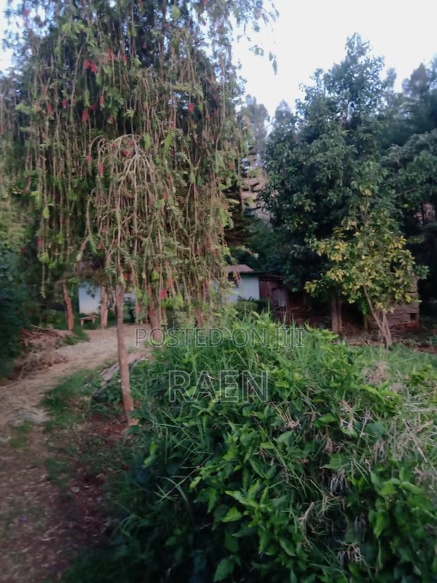 Land on Quick Sale - thumbnail 3