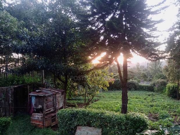 Land on Quick Sale - thumbnail 5