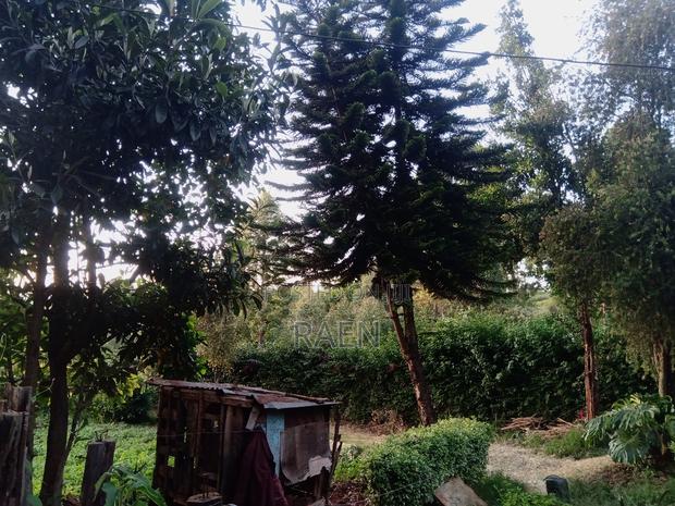 Land on Quick Sale - thumbnail 6