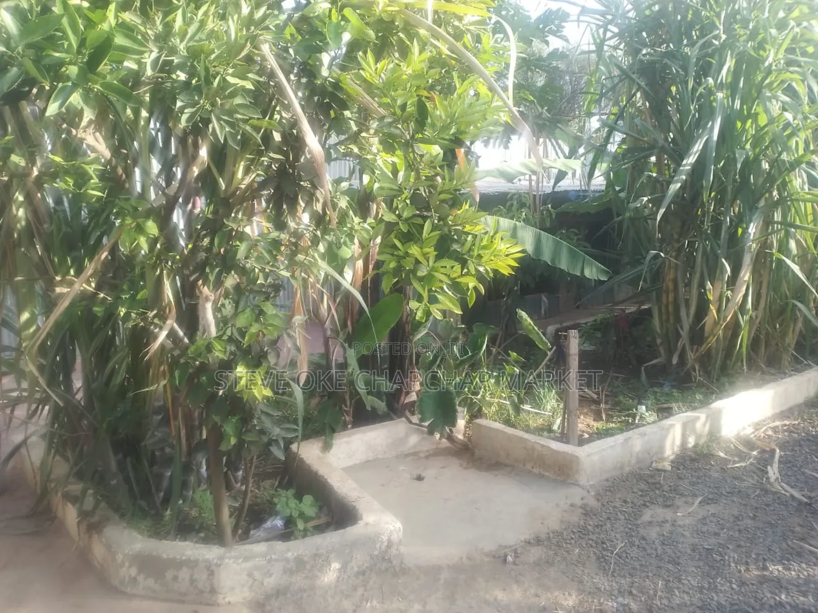 3bdrm Bungalow in Noonkopir Kitengela, Nairobi Central for sale