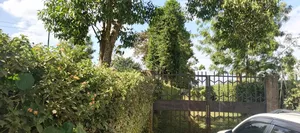 Nyeri Gatitu /Kiawaithanji 10 Acres