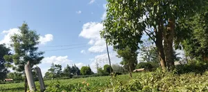 Nyeri Gatitu /Kiawaithanji 10 Acres